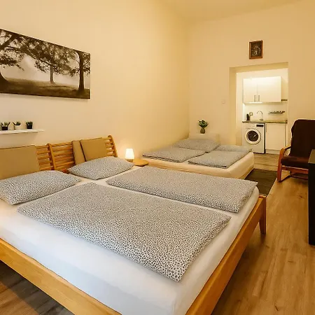 Appartement Serena Near Boulvard With Ac Boedapest
